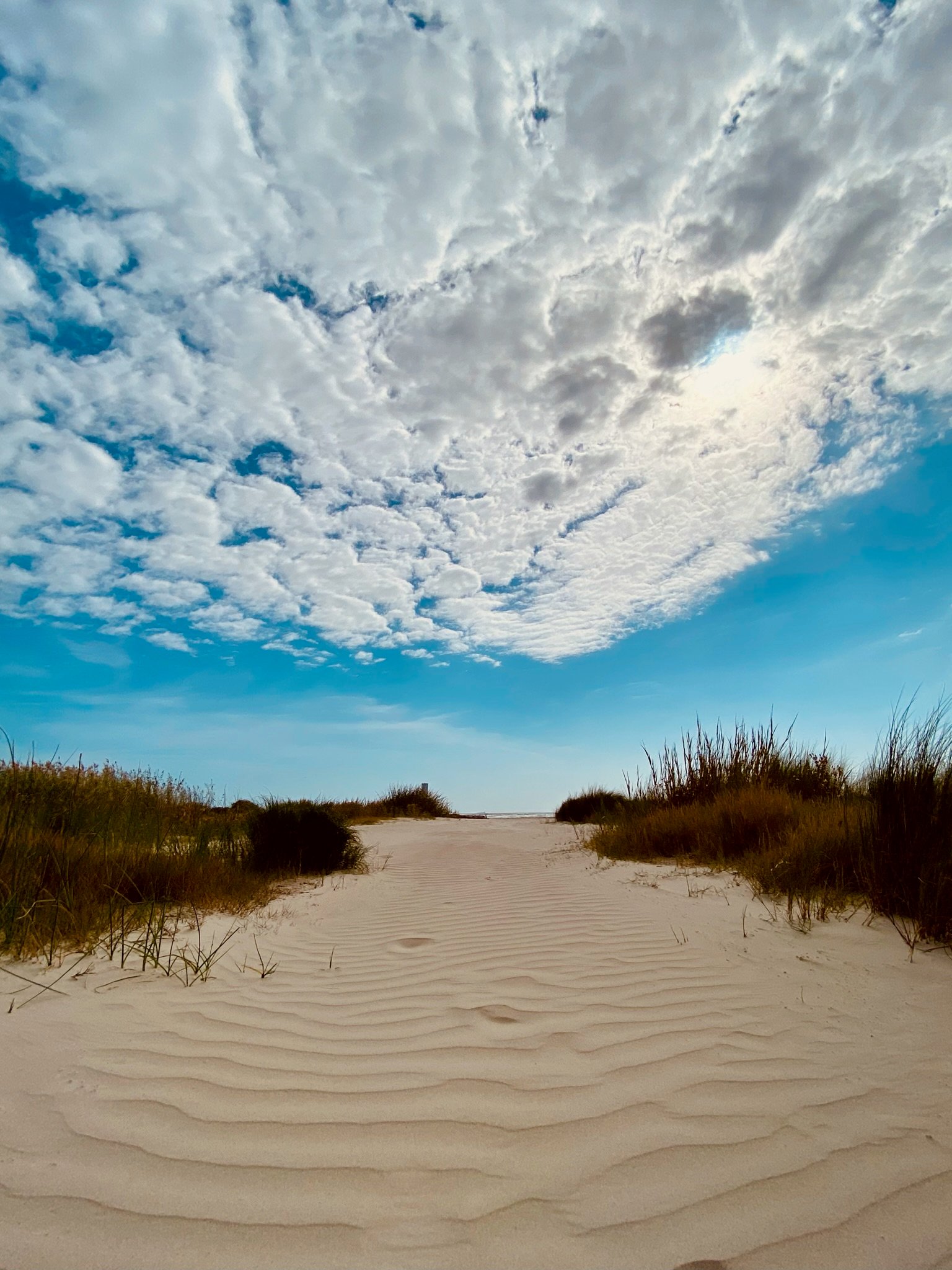 A sandy path through the dunes opening toward the water