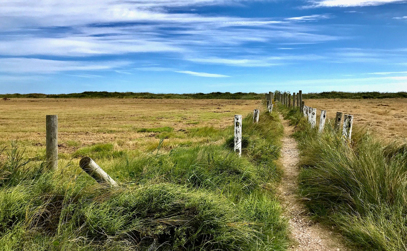 A footpath between fence posts under a wide sky