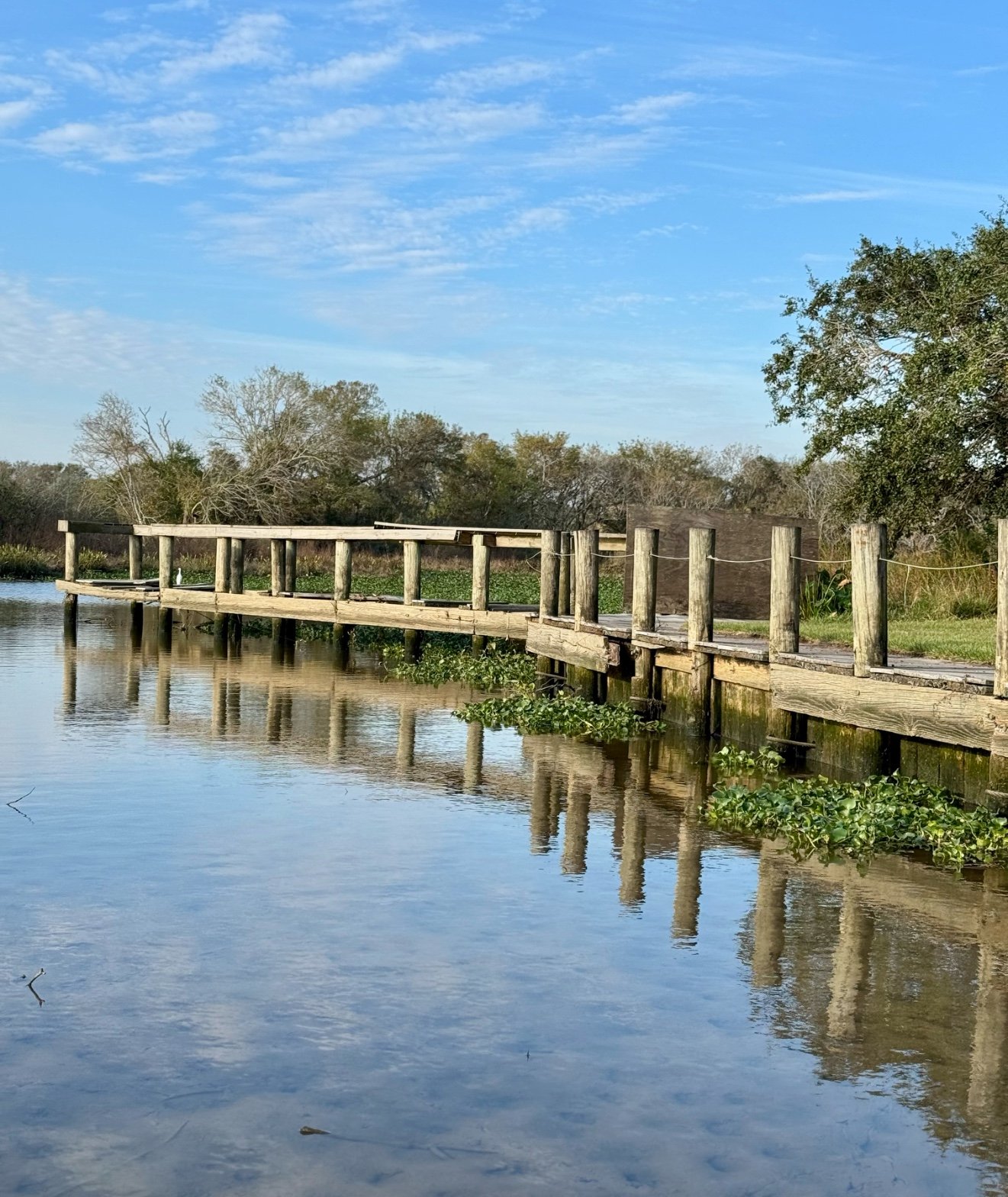 A weathered wooden dock stretching across a calm pond, reflected in the still water and framed by trees
